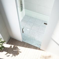 an overhead view of a bathroom with a shower stall and wooden flooring, along with a potted plant in the corner