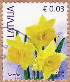 a postage stamp with yellow daffodils on it