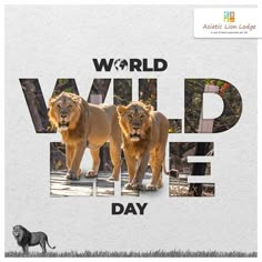 two lions standing next to each other with the words world wildlife day written on them