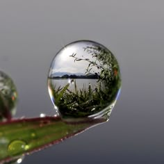 a drop of water sitting on top of a leaf next to a body of water