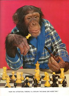 a monkey is playing chess with his hands on the board and holding a pipe in front of him