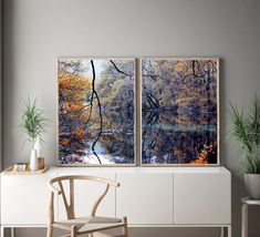 two paintings are hanging on the wall next to a chair and table with a potted plant