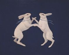 two white rabbits playing with each other on a black background, one is holding the other's hand