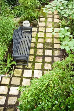 a bench sitting in the middle of a garden