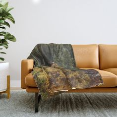 a couch with a blanket on it next to a potted plant