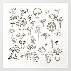 a black and white drawing of various mushrooms