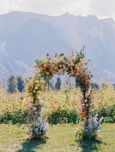 an arch made out of flowers in the middle of a field with mountains in the background