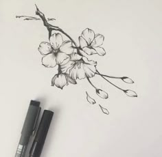 a drawing of a branch with flowers on it next to two markers and a pen