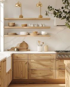 a kitchen with wooden cabinets and white counter tops, plants on the shelves above the stove