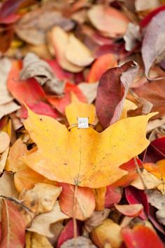 a yellow leaf laying on the ground surrounded by autumn leaves with a diamond ring in it's center