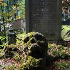 moss covered heads rest on the ground in front of a grave