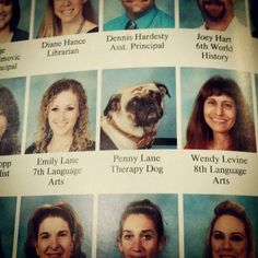 the most important faculty members on this page are women, men and pug dogs