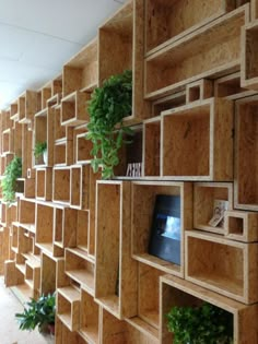 the shelves are made out of plywood and have plants growing on each one side