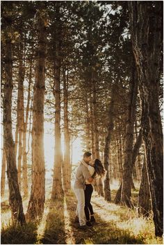 a couple kissing in the woods surrounded by tall pine trees during their engagement photo session