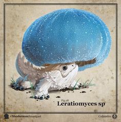 an image of a blue mushroom with the words leratonines sp on it