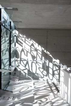 the shadows are cast on the glass wall