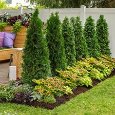 a wooden bench sitting in the middle of a garden