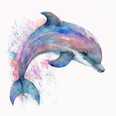 a watercolor painting of a dolphin jumping out of the water