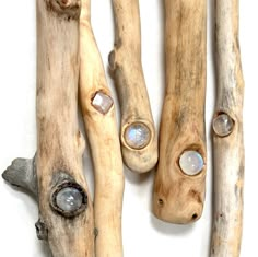 driftwood sticks with different shapes and sizes on white background, including one in the middle