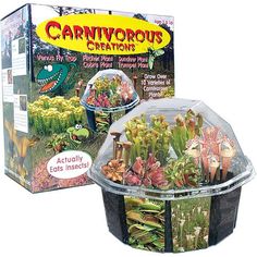 a plastic container filled with green plants next to a box of carnivors