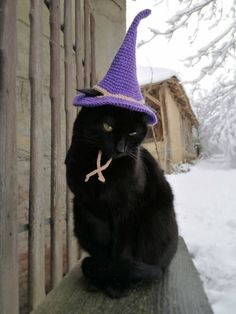 a black cat wearing a purple crochet witches hat sitting on a fence post