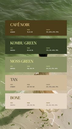 Colors:
4C3D19
354024
889063
CFBB99
E5D7C4 Pear Green Color Palette, Colour Palette For Portfolio, Cute Colour Palette Aesthetic, Artistic Color Palette, Lunar Color Palette, Color Palette For Coloring Book, Color Palette Cottagecore, My Color Aesthetic, Color Palette 8 Colors