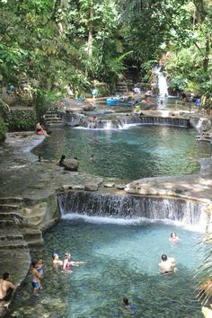 several people are swimming in a pool surrounded by trees and rocks, with waterfall cascading