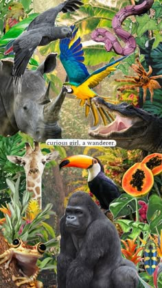 an image of different animals in the jungle