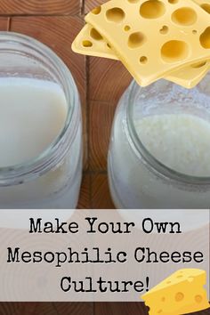 two mason jars with cheese on them and the words make your own mesophicic cheese culture