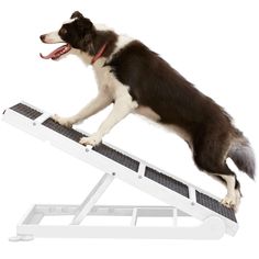 Ylovecl White Dogs Ramps with Paw Traction Mat & Non-Slip Steps, Foldable, 5 Height Adjustable, Lightweight Wooden Dog Ramp f Dog Ramp For Car, Car Ramps, Dog Ramp, Wooden Dog, Dog Car, White Dogs, Large Dogs, Height Adjustable, Pet Supplies