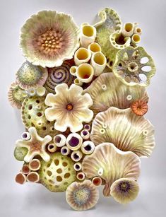 an arrangement of flowers and shells is shown in this artistic photograph, with white background