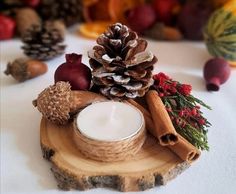 a candle and some pine cones are on a wooden slice with other items around it