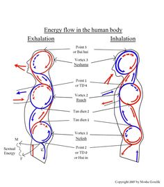 Body Energy Flow, Le Mal A Dit, Polarity Therapy, Out Of Body Experience, Tai Chi Qigong, Sacred Science, Chi Kung, Energy Healing Reiki, Out Of Body