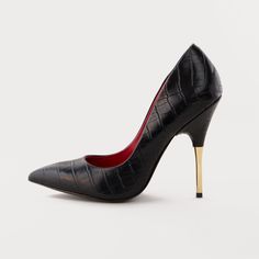 Honey Pump -Charles Jourdan Christian Louboutin Pumps, Stiletto Heels, Christian Louboutin