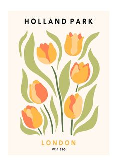 the holland park logo with tulips in orange, yellow and green on a white background