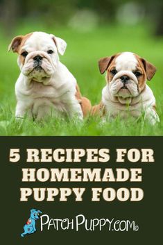 two puppies sitting in the grass with text overlay reading 5 recipes for homemade puppy food