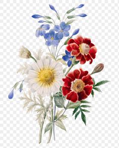 an arrangement of flowers with red, white and blue petals on the stems png