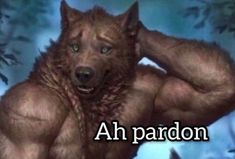 an image of a bear with the words ah pardon on it's chest