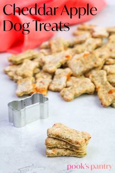 Cheddar apple dog treats are a quick and easy homemade dog treat recipe. Made with only a handful of ingredients, these delicious DIY dog treats will become your pup’s favorite biscuit. Apple Dog Treats, Shrimp Tanks, Christmas Dog Treats