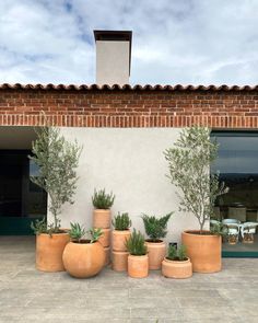 several potted plants in front of a building