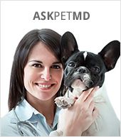 a woman holding a small dog in her arms and smiling at the camera while wearing a lab coat