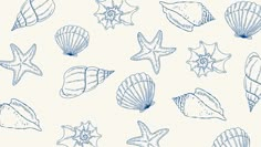 an image of seashells and starfish seamless pattern background illustration in blue on white