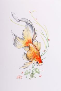 a drawing of a goldfish in water with plants and flowers on the bottom side