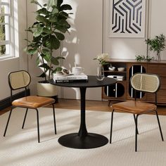 two chairs and a table in a room with a potted plant on the floor