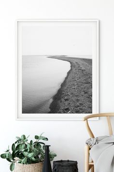 a black and white photo hanging on the wall next to a chair with a plant in it