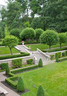 an outdoor garden with steps and trees in the middle, surrounded by green lawning