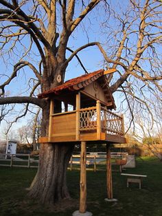 a tree house built into the side of a tree in a park with benches around it