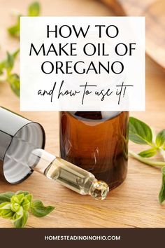 Oil Of Oregano Benefits, Make Oregano Oil, Oregano Benefits, Herbal Oil Recipes, Oil Of Oregano, Oregano Oil Benefits, Oregano Essential Oil