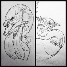 two drawings of birds with different shapes and sizes