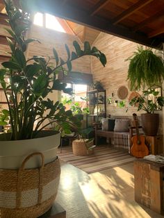 a living room filled with lots of plants next to a wooden ceiling mounted guitar on a stand